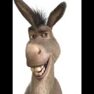 Meet your Posher, Briza